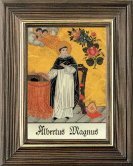 Albertus Magnus