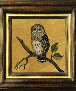 Vögel