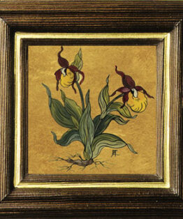 Blumen - Beeren - Heilkräuter