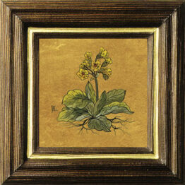 Schlüsselblume - Hinterglasbild